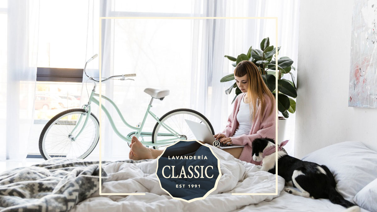 LavClassic's tweet photo. Un año nuevo trae energías renovadas, ¿Qué tal empezar por limpiar y desinfectar cada rincón de tu casa? Pregunta por nuestro servicio Home Care y nuestra recién aliada: la Línea Toronja:
https://t.co/PQmG2I9M2W https://t.co/9Jq78I08c7