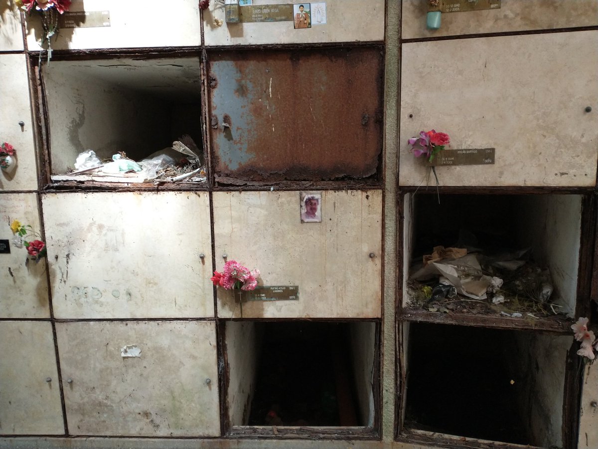 JavoANovoa's tweet image. Robo de placas, profanación de tumbas, infraestructura destruida, el cementerio Parque genera una indignación total. Vergüenza deberían tener.  #MarDelPlata