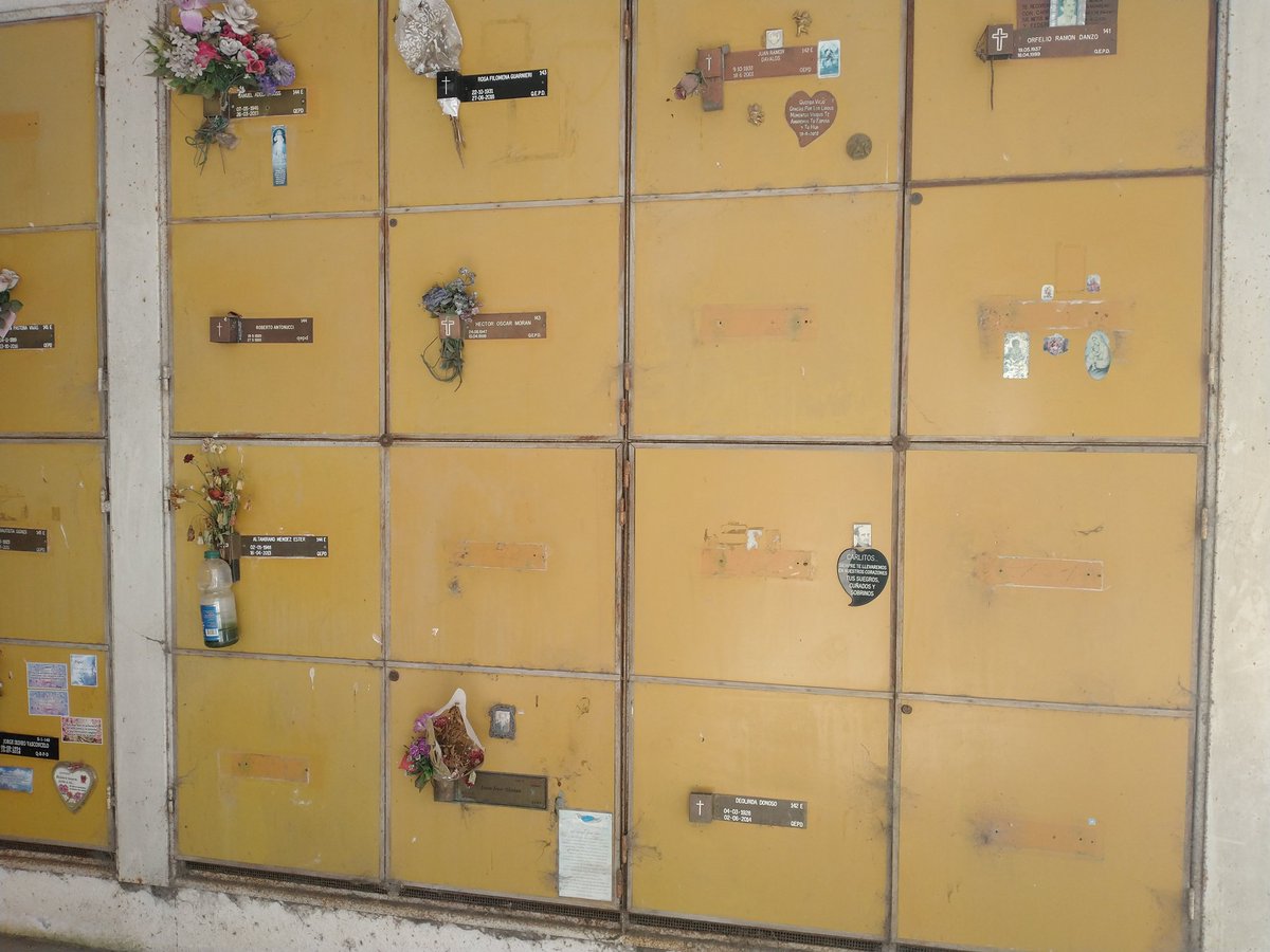 JavoANovoa's tweet image. Robo de placas, profanación de tumbas, infraestructura destruida, el cementerio Parque genera una indignación total. Vergüenza deberían tener.  #MarDelPlata