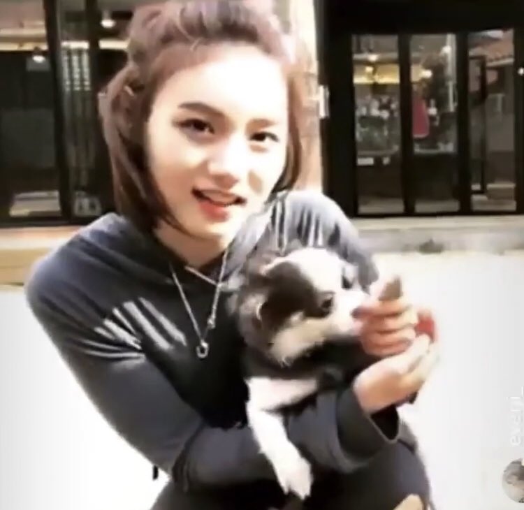 apithinker's tweet image. 