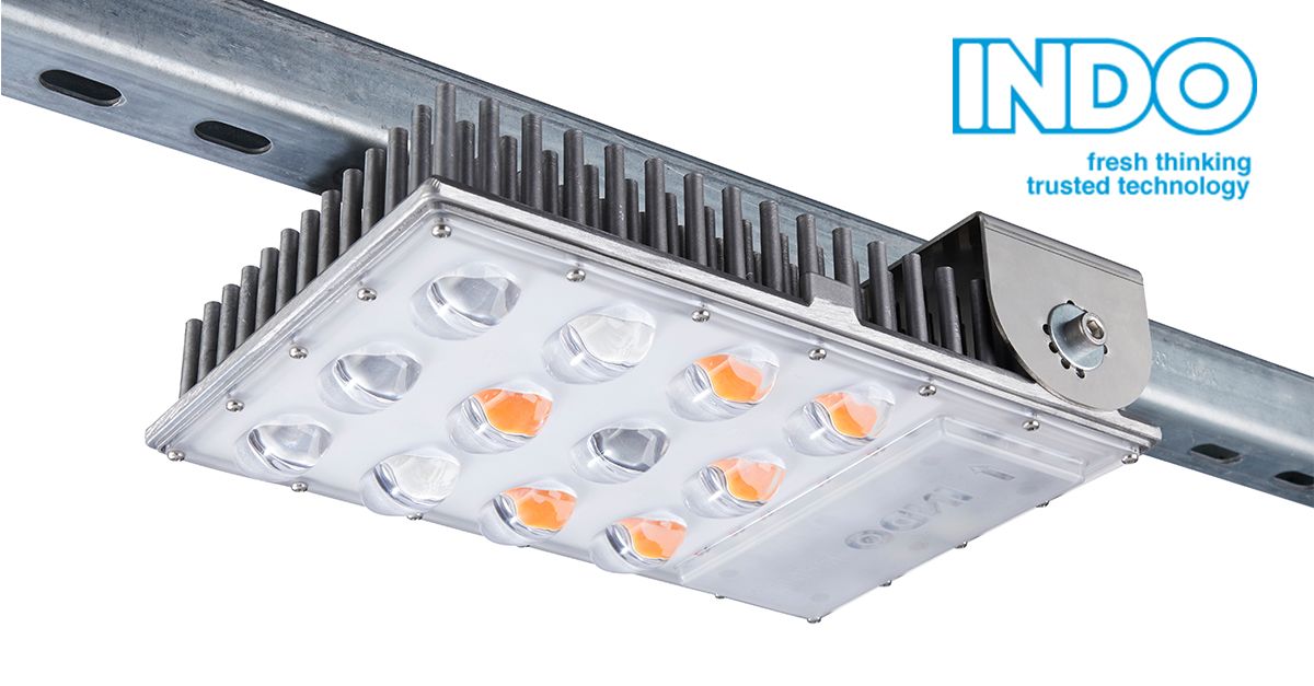 INDO Horticulture tweet media