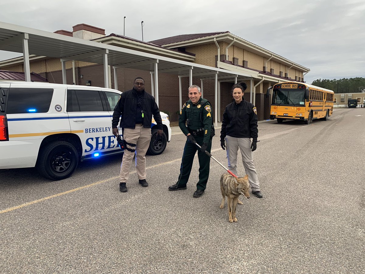 Cpl_Whetstone_BCSO tweet media