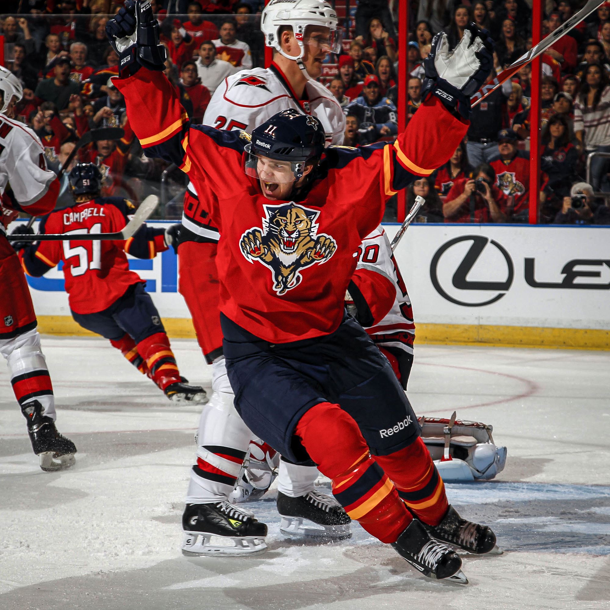 Hockey goal