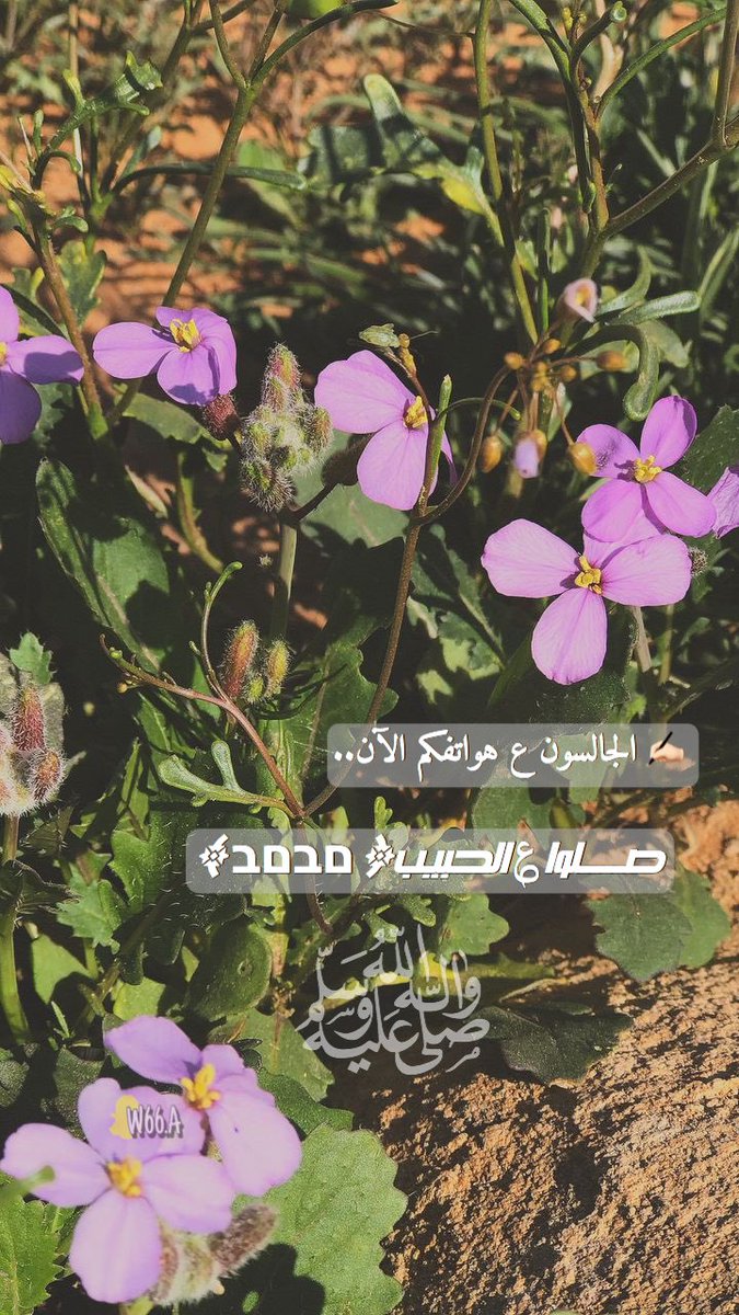 ﮼W✨ tweet media