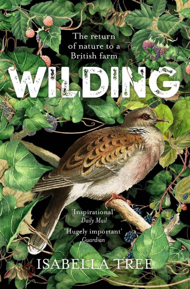 From discussions, reading & lots of podcast listening, became clear that we needed regenerative farming practices.Countryside stewardship & organic practices met those needs, guaranteed income over next 5 years, particularly while farming goes through turmoil post Brexit.