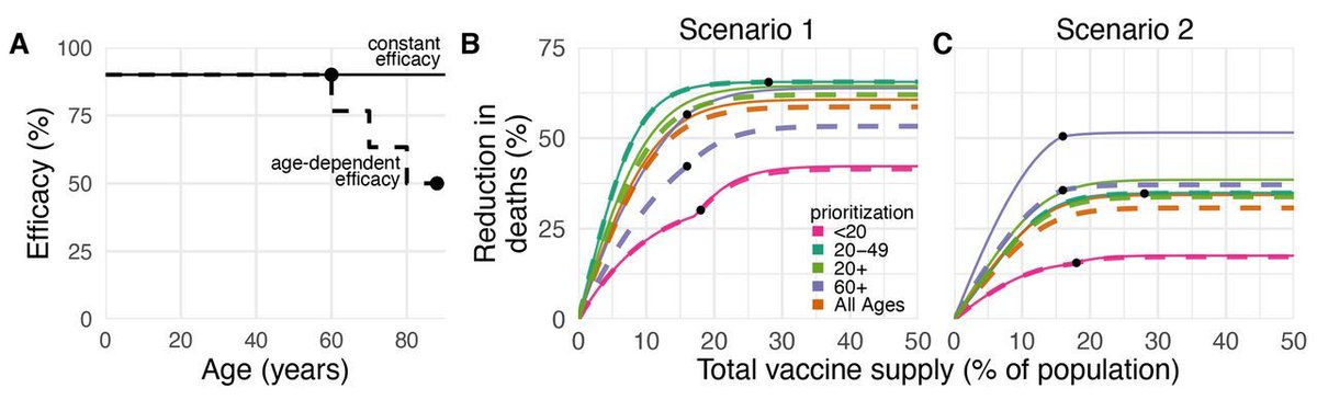 Vaccinating people over 60 is the most effective way to mitigate mortality from #COVID19, a new age-based modeling study suggests. <a href="/bubar_kate/">Kate Bubar</a> <a href="/mlipsitch/">Marc Lipsitch</a> @yhgrad  <a href="/StephenKissler/">Stephen Kissler</a> fcld.ly/p1inwsl