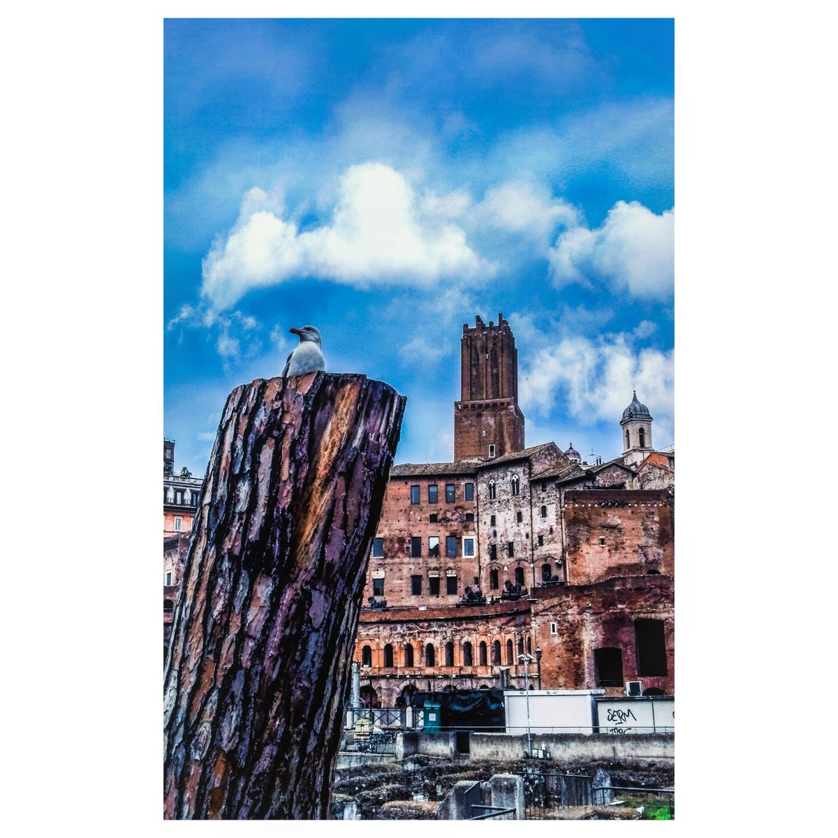fotografiedism's tweet photo. Le città che quando cammini non ti rendi conto del tempo e ti perdi all’angolo tra un dettaglio e lo stupore.
#fabriziocaramagna
.
.
.
.
.
#travel #nature #photography #travelphotography #cityphotography #like #naturephotography #follow #happy #adventure #instatravel #igrome https://t.co/0DxHyobFYP