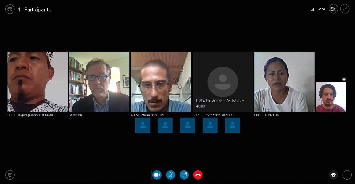 Reunión virtual ONU Derechos Humanos y representantes indígenas