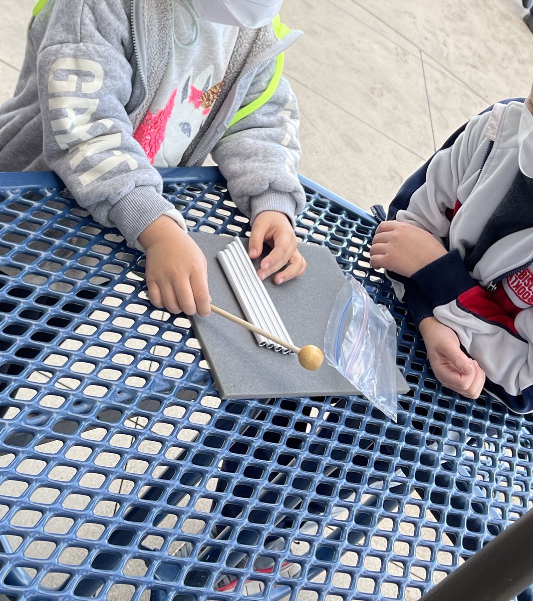 After weeks of investigating sound and crickets, first graders finally figured out the mystery of Mrs. Minarik's silent crickets!  <a href="/OASharks/">Ocean Air</a> <a href="/HTS_Dolphins/">Del Mar Heights</a> #DMUSD <a href="/DMSEF8/">DelMarSchoolsEduFDN</a> #phenomena