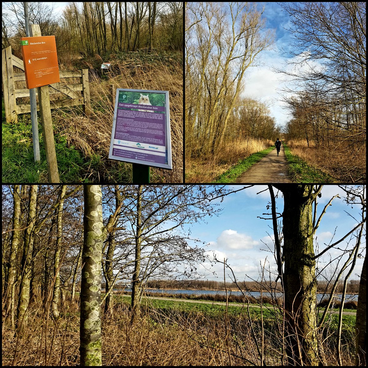 Wandelen is belangrijk voor je fysieke en mentale gezondheid. Prima te doen tussen de #coronamaatregelen en de #avondklok door.