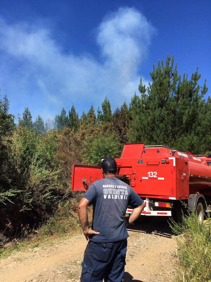 Quintavaldivia5's tweet photo. Nos encontramos en Camino Antiguo Sta. Elvira. Incendio Forestal.
Bomberos y CONAF trabajan en el lugar. Más apoyo aéreo. #valdiviacl https://t.co/Xpwt7SLw1g