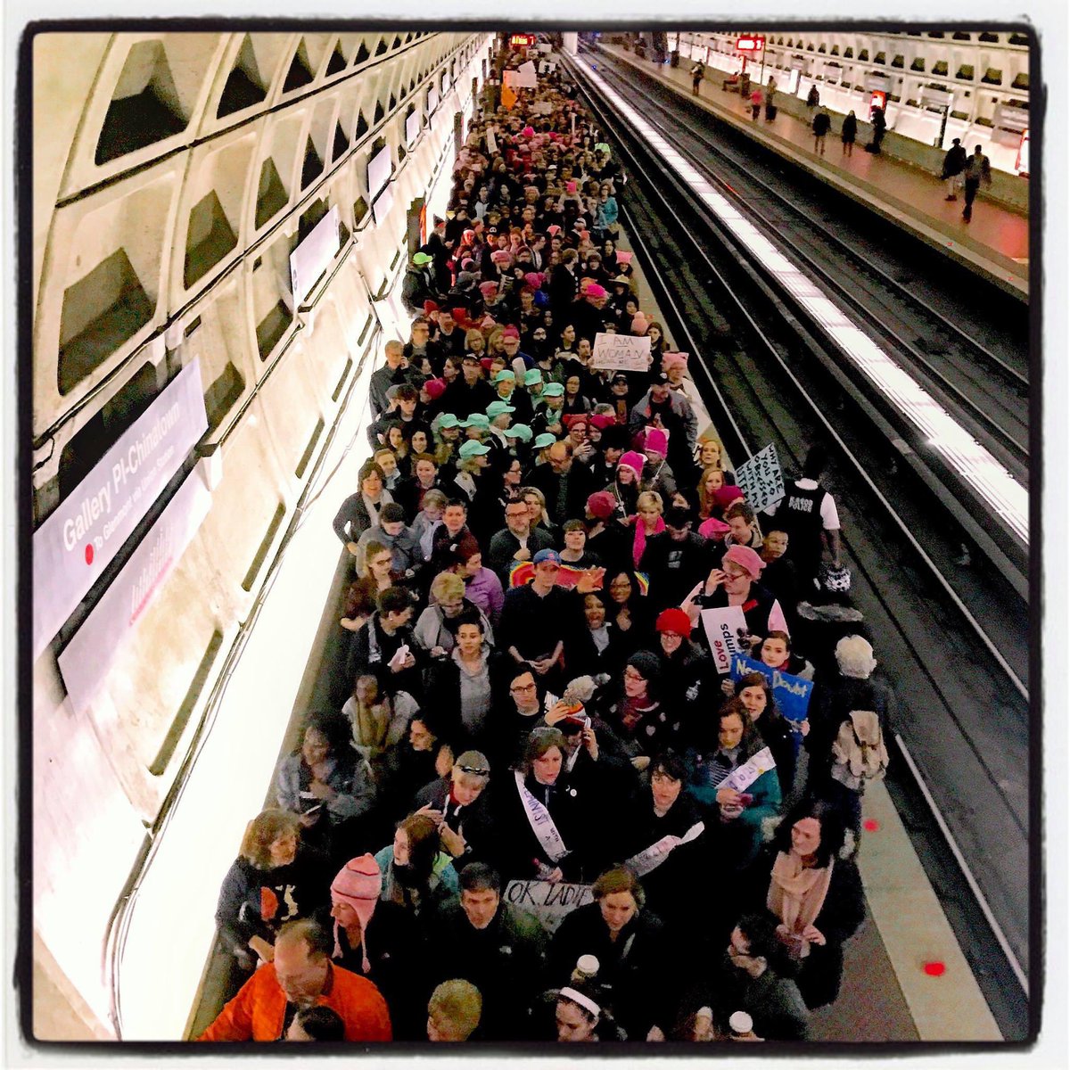 brianmmunoz's tweet photo. Thousands filled the streets of #DC for the 2017 @WomensMarch in response to Donald Trump’s inauguration. It’s wild to think how much has changed since then. #WMOW https://t.co/kAB1sA0Z5X