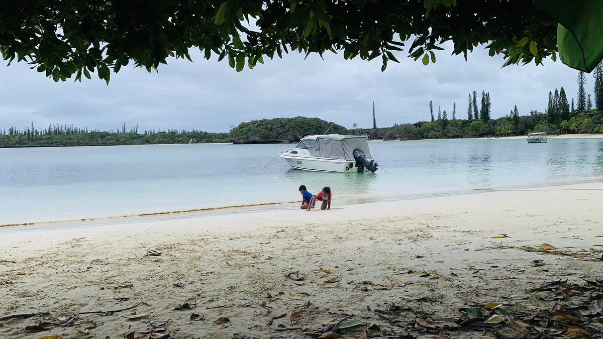 honkoval1's tweet photo. #iledespins #baiedekanumera #fridayphoto #nature #Beach #sableblanc # https://t.co/VJ64VjfBCv