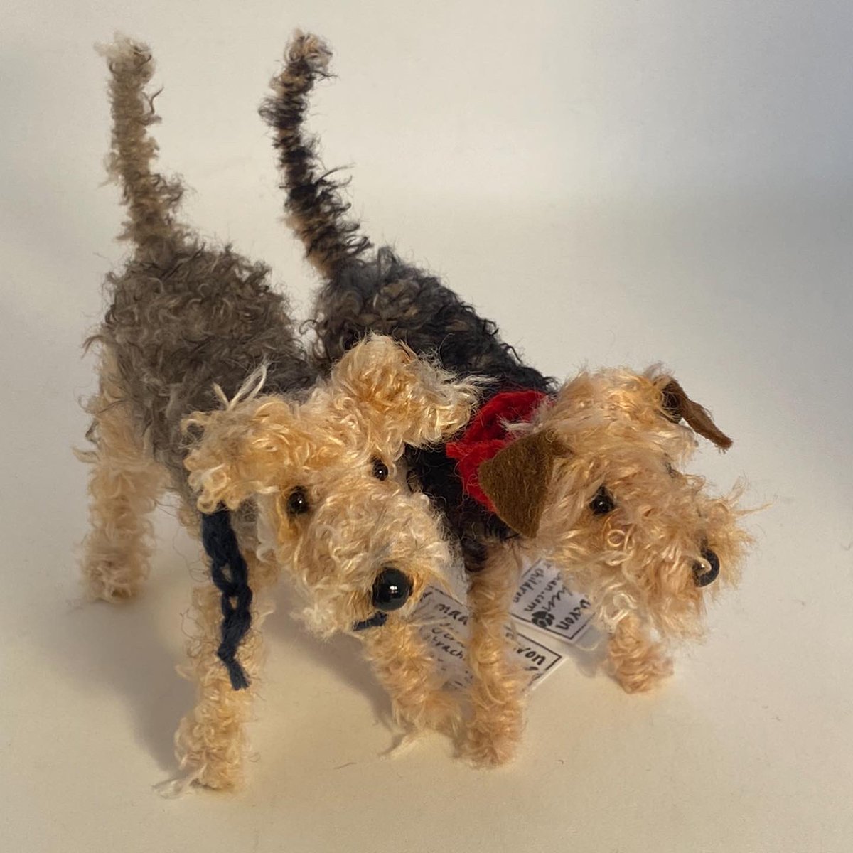 Sarah Strachan tweet media