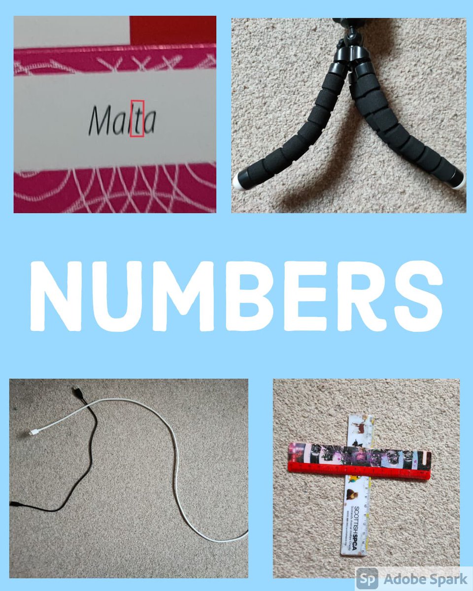 Miss Walker 贝老师 tweet media