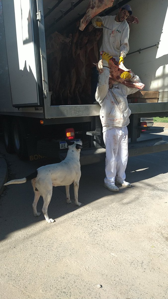 Esperando un mínimo error...