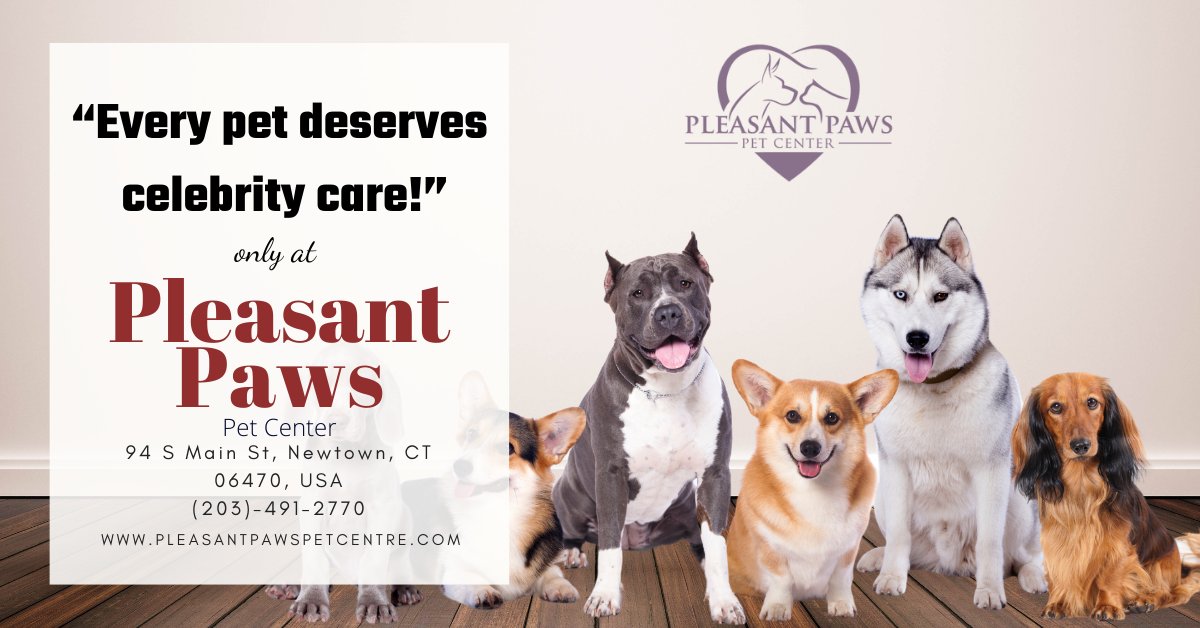 Pleasant Paws Pet Center (@pleasantpawspet) / Twitter Pleasant Paws Pet Center (@pleasantpawspet) / Twitter