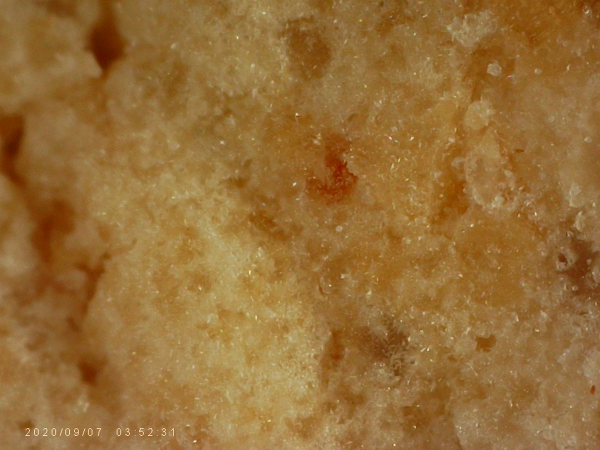 1000_stuff's tweet image. Girl Scout Cookie series: S'more (top) x1000