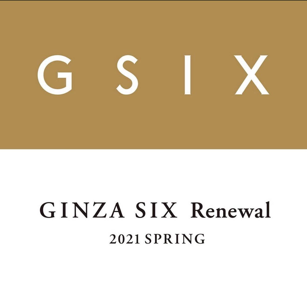 翼   ✩ tweet media