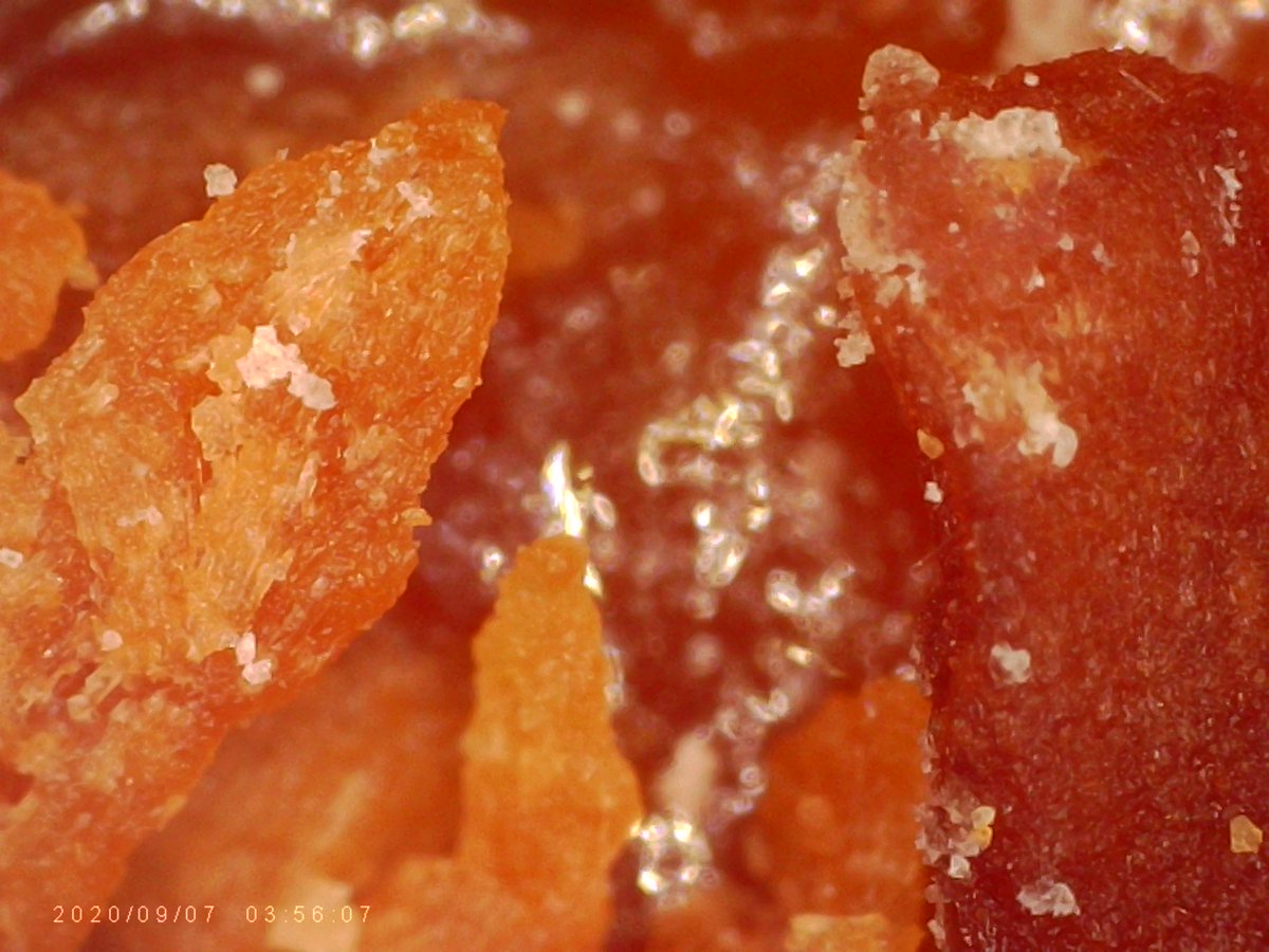 1000_stuff's tweet image. Girl Scout Cookie series: also Samoas x1000