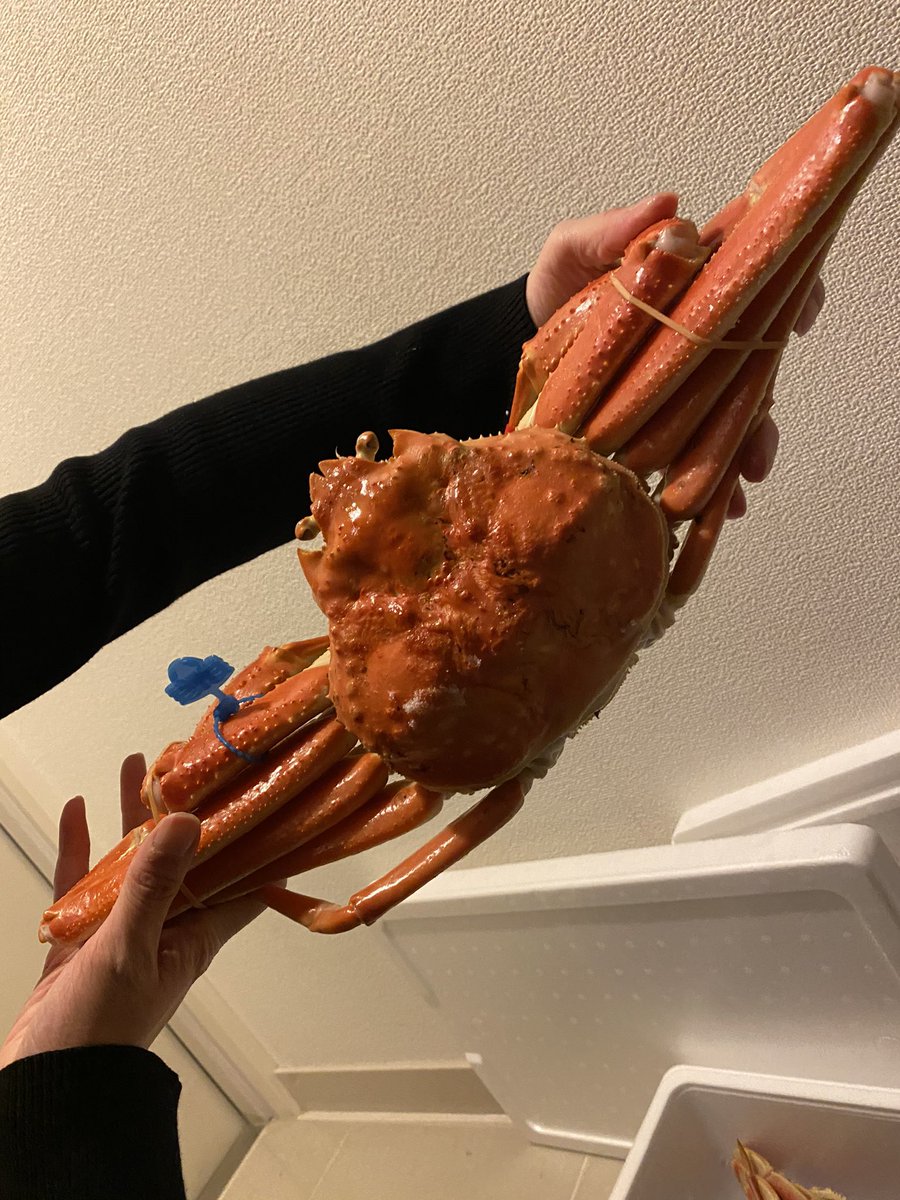 神林さくら Sakuroneko Ra Twitter