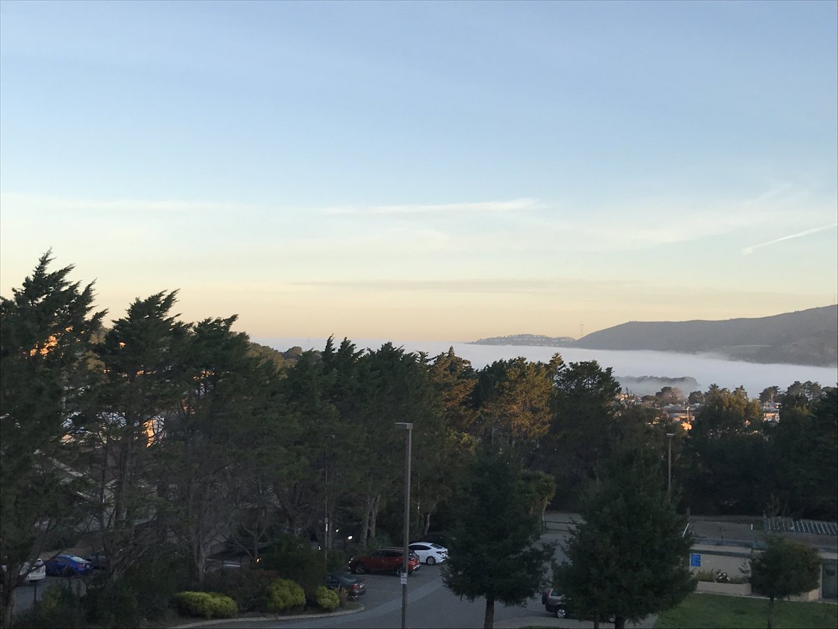 Randall Yip tweet media