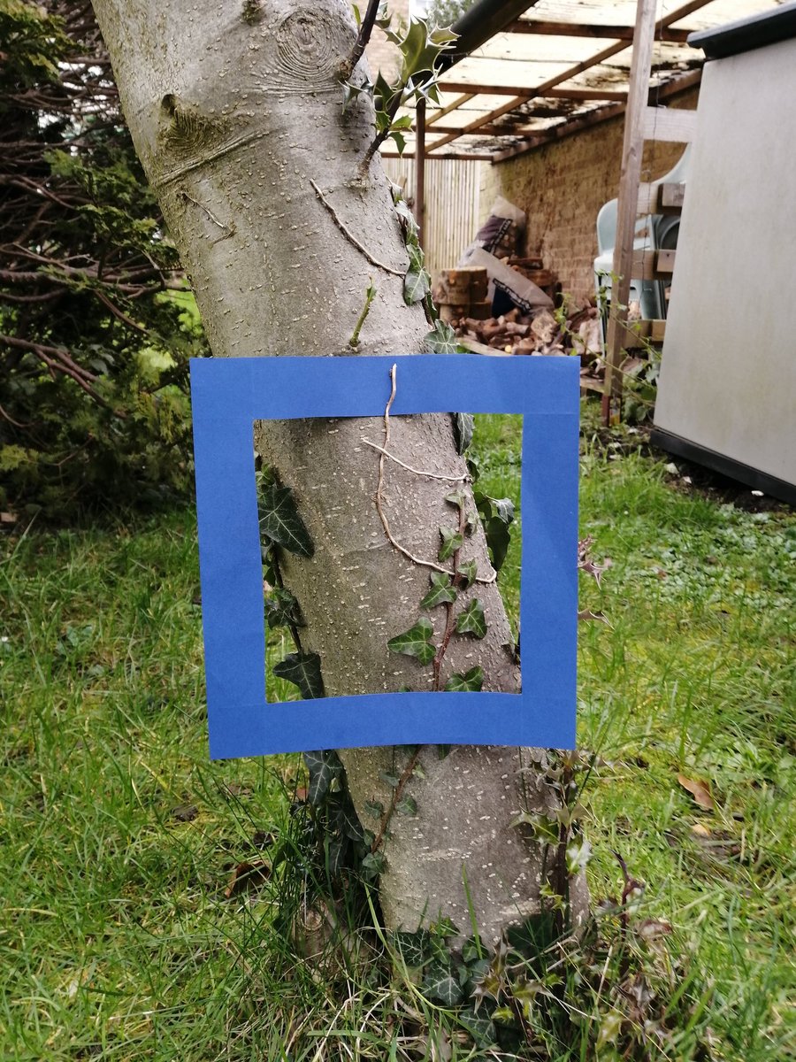 honour_kerry's tweet photo. @MissLilley1 Forest school. Framed picture. https://t.co/PyAdMoMxy7