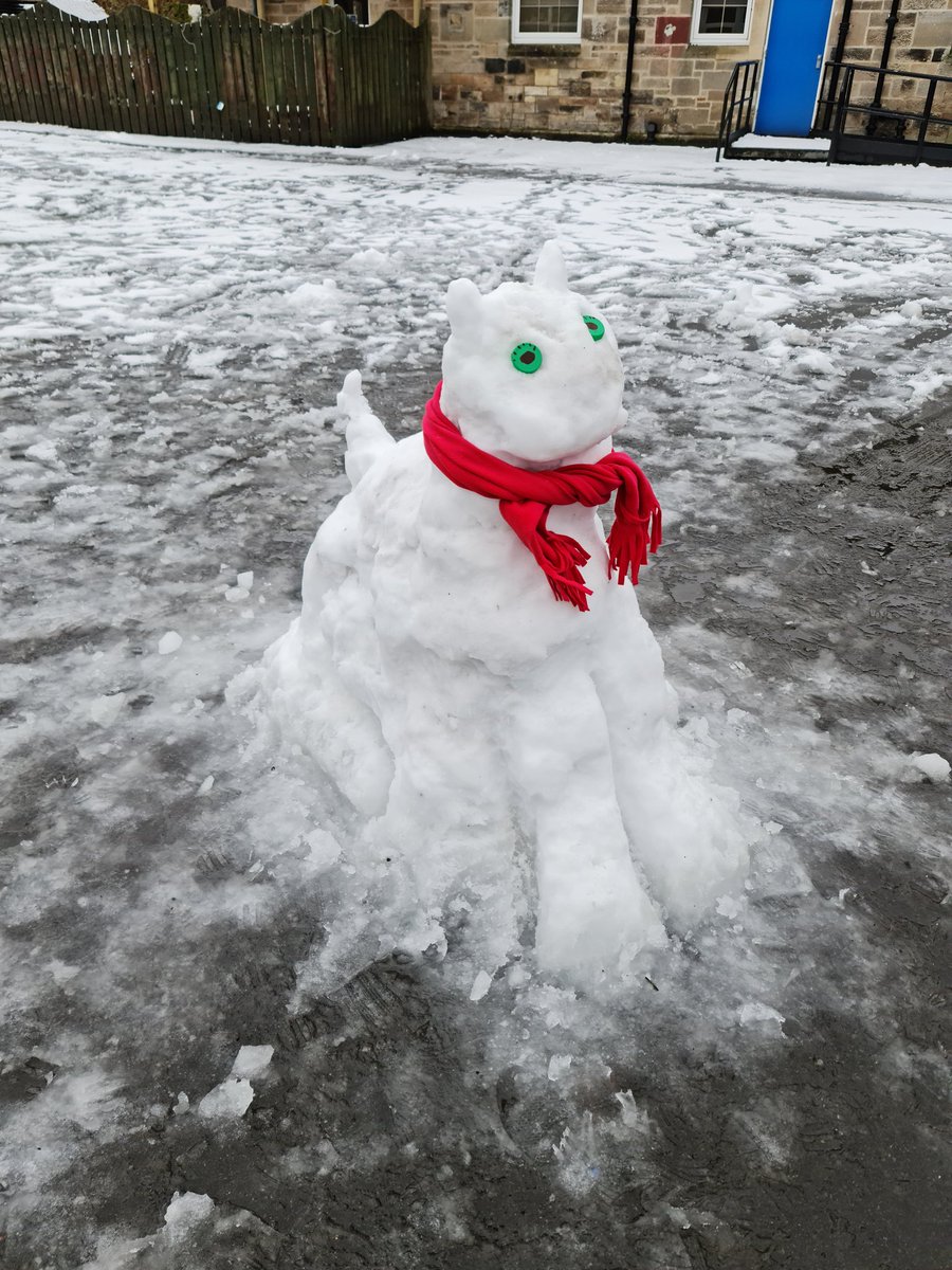 STEMinQPS's tweet photo. Day 12 - Super Snow Dog https://t.co/oUBpLWFSUc