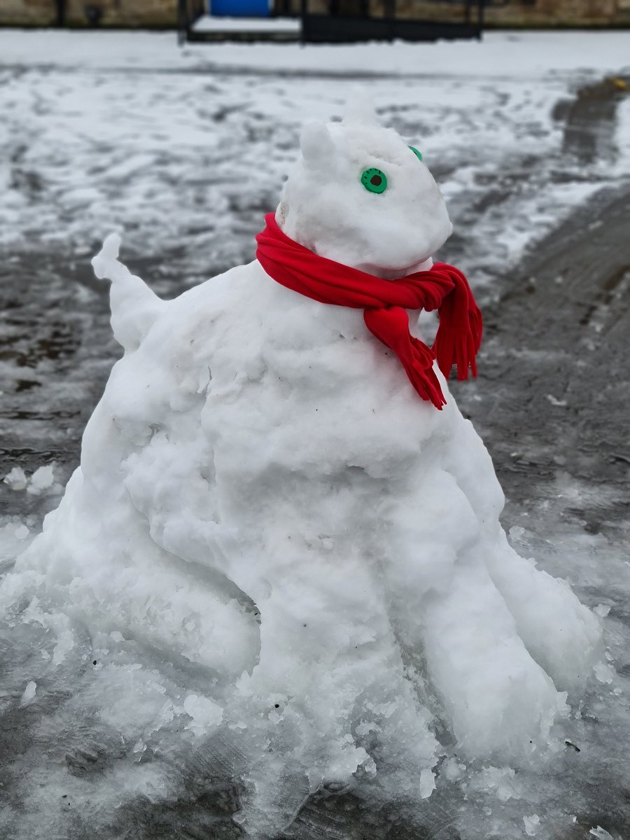 STEMinQPS's tweet photo. Day 12 - Super Snow Dog https://t.co/oUBpLWFSUc