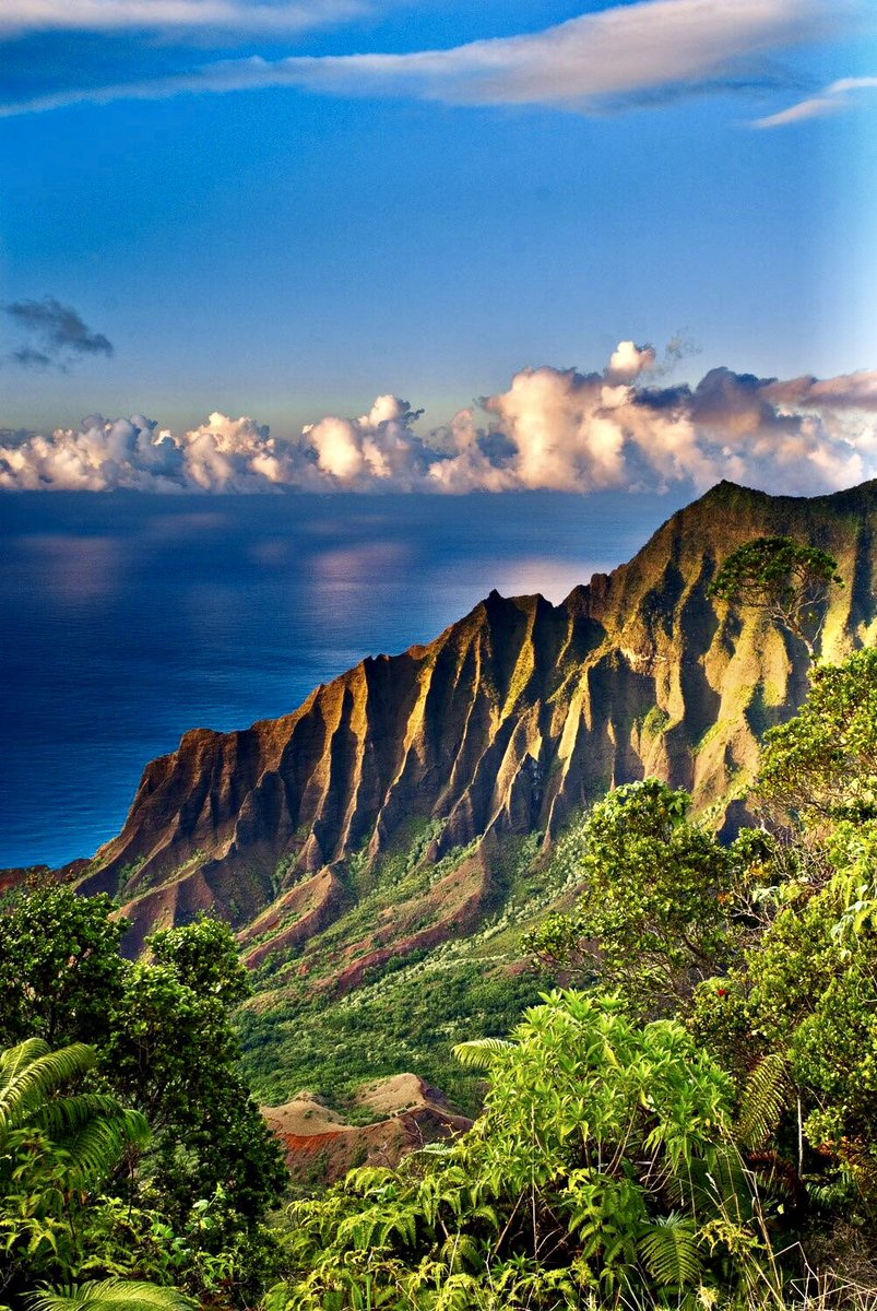 vergolisabe's tweet photo. The beauty of Kalalau in Hawaii! 🤗❤️ https://t.co/bgM8XdU2rx
