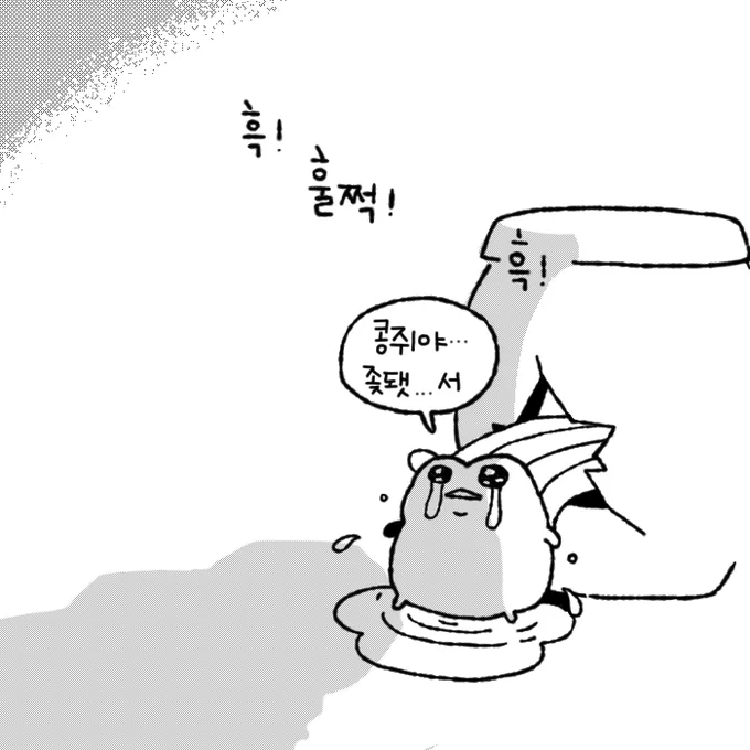 콩...쥐야 좆됏서 