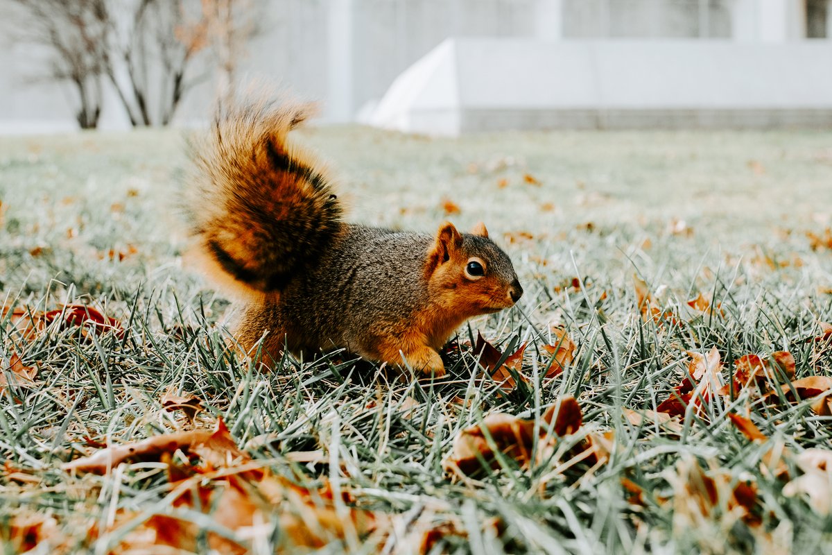 University of Nebraska-Lincoln tweet media