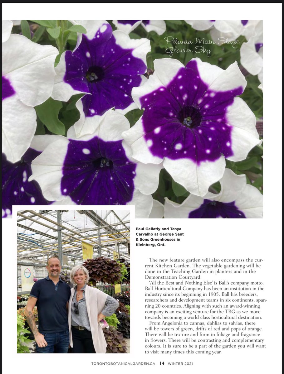 Tanya Carvalho (@tanyacbloomdiva) on Twitter photo I am SO excited to be partnering with <a href="/TBG_Canada/">TO Botanical Garden</a> to bring a new trial garden to the gardens in 2021! Check out <a href="/TattoodGardener/">Paul Gellatly - The Tattooed Gardener</a> article in the latest issue of Trellis. We will be featuring some fantastic introductions from <a href="/BallFloraPlant/">Ball FloraPlant</a> and <a href="/SelectaOneNA/">Selecta One</a> #flowertrials I am SO excited to be partnering with <a href="/TBG_Canada/">TO Botanical Garden</a> to bring a new trial garden to the gardens in 2021! Check out <a href="/TattoodGardener/">Paul Gellatly - The Tattooed Gardener</a> article in the latest issue of Trellis. We will be featuring some fantastic introductions from <a href="/BallFloraPlant/">Ball FloraPlant</a> and <a href="/SelectaOneNA/">Selecta One</a> #flowertrials