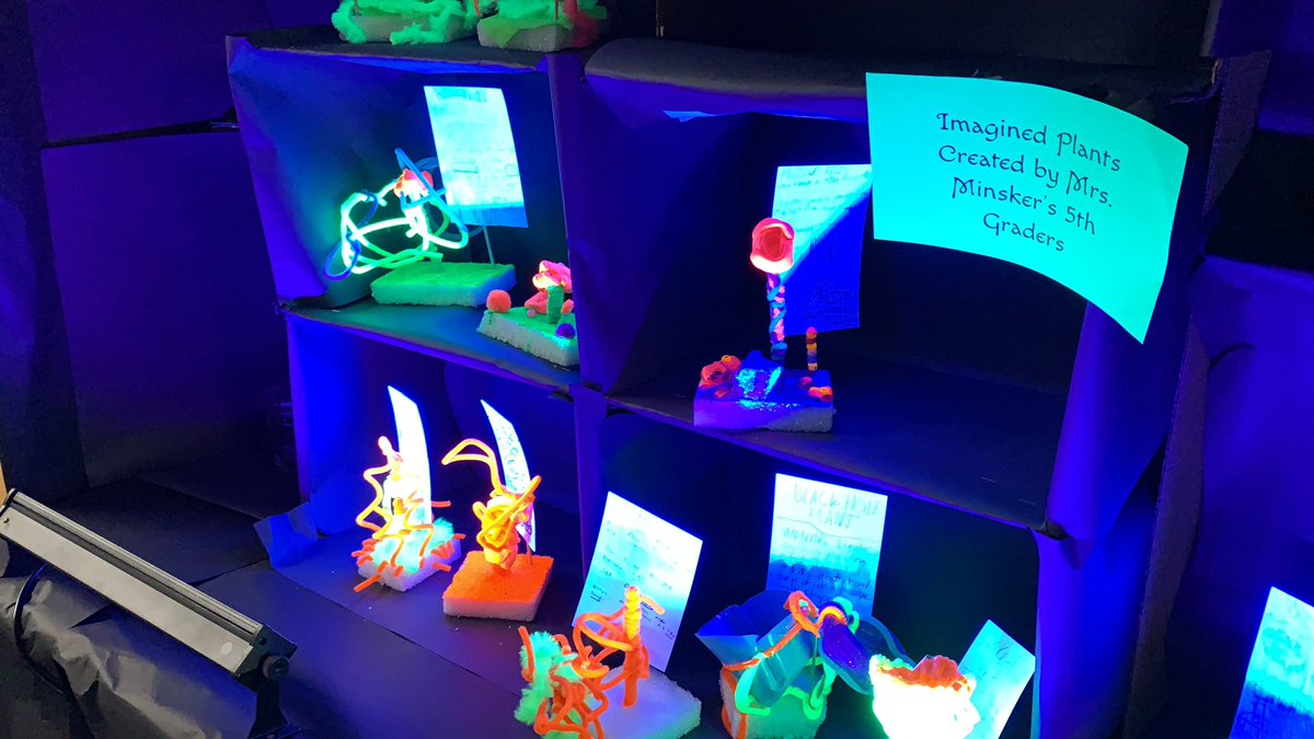 Another great art project at NW!!  Mrs. Vlahos had Mrs. Minsker’s class create “Imagined Plants” and then create a bio about the plants.  Way to go, NW!!