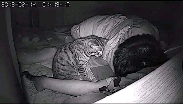 ZUNl_'s tweet photo. creo que está no es la pelicula actividad paranormal https://t.co/8OCrtyUj7Y