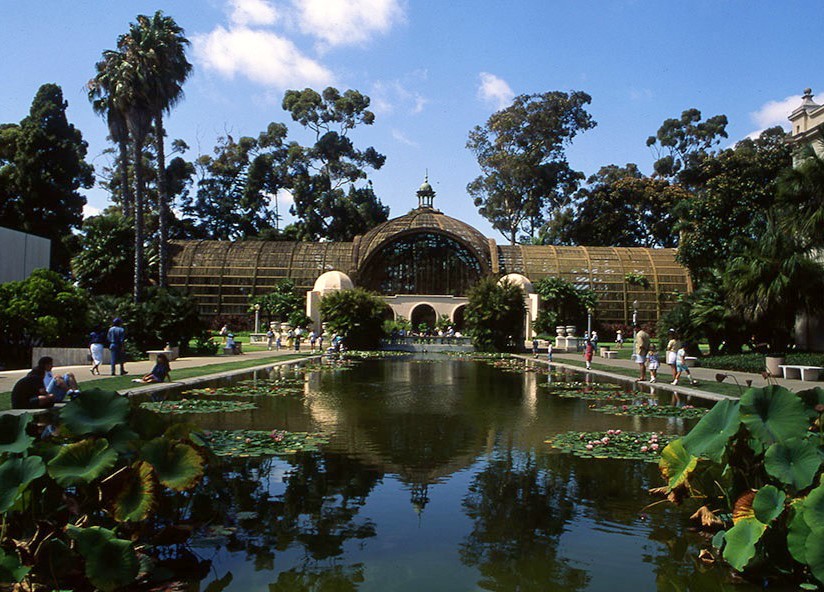 Mcomprender's tweet photo. I love the eucalyptus trees in the background๐๐๐๐๐
#LilyPond #BotanicalBuilding #BalboaPark #SD
#GenusEucalyptus #MyrtleFamily #AromaticEvergreen https://t.co/GPMgaMuj9s