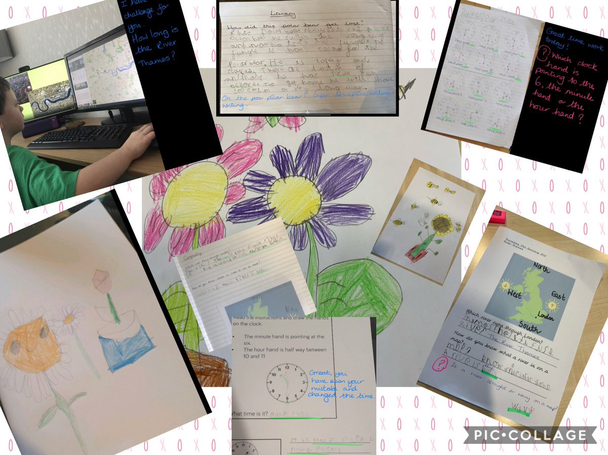 Year 1 Layton tweet media