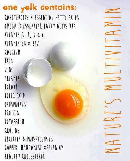 EggsMuch like steak an excellent source of cholesterolAgain you will find few foods more nutrient-dense & with a better nutrient profile to support testosterone production includingD3K2Vit B6 & 12ZincSeleniumVitamin A Folic AcidIdeally, you would have eggs daily!