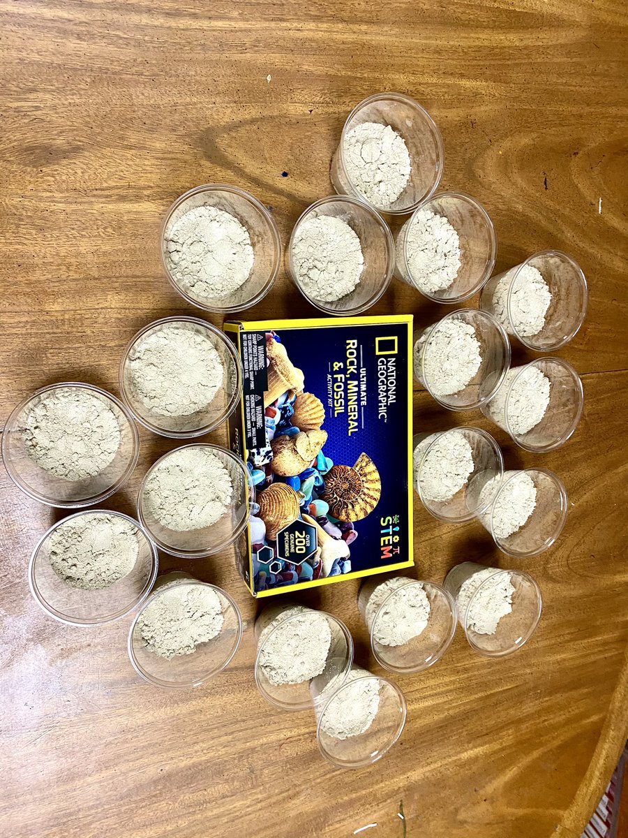 Mswilcoxsclass's tweet photo. Welcome to Jurassic park! #3rdgrade #fossils #science #classroomtransformation #teachertwitter https://t.co/nmDBgE38Wh