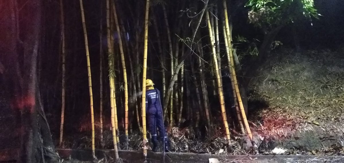 floridabomberos's tweet photo. #SiempreAlertas Un pequeño conato fue atendido el día de ayer metros adelante del intercambiador de Fátima, con 0,3 m³ de agua se controló la situación que afectó 3 m³ de matas de bambú. #laborcumplida https://t.co/uOzGcYRsEC