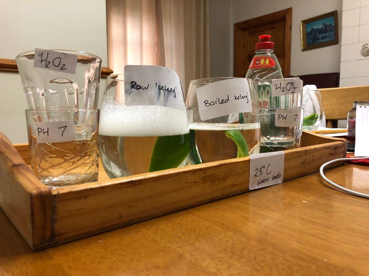 Mr Devlin tweet media