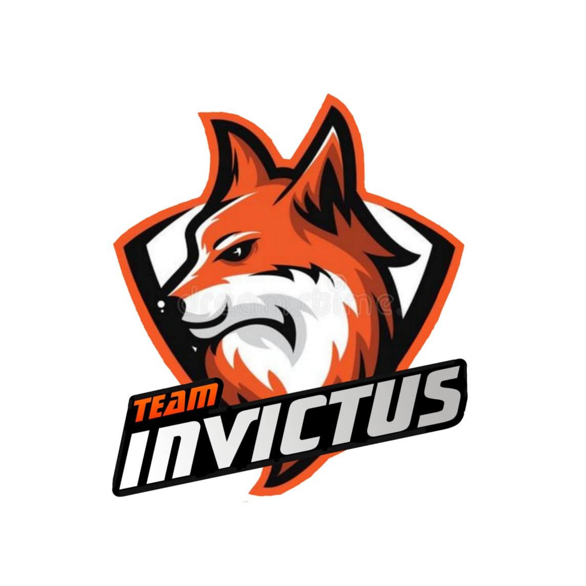 TEAM INVICTUS (@teaminvictusvct) on Twitter photo 
