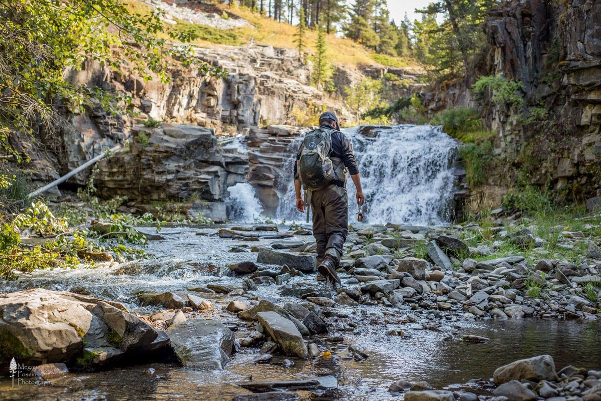 alberta_bha's tweet photo. The rivers and #fish can't speak for themselves. Let's help them out, by telling our politicians that our mountains should be left alone. #oldman #bighorn #livingstone #castle #bhaalberta #explorealberta #alberta #flyfishalberta #albertaflyfishing #albertabha Ph: M. Posein https://t.co/0dcCjZez6c
