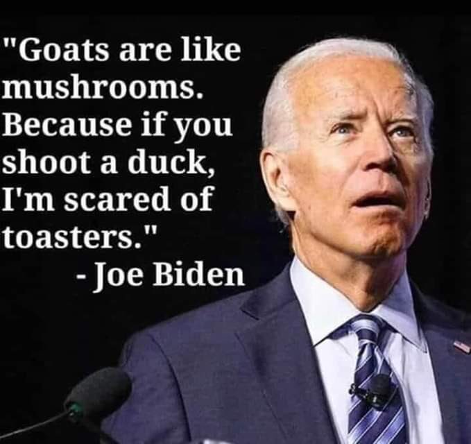 Psyhtor's tweet photo. @StevePieczenik @Non_MSM_News @RealJamesWoods @RealTina40 But until then, it is #SideshowJoe https://t.co/B1POaSNgwh
