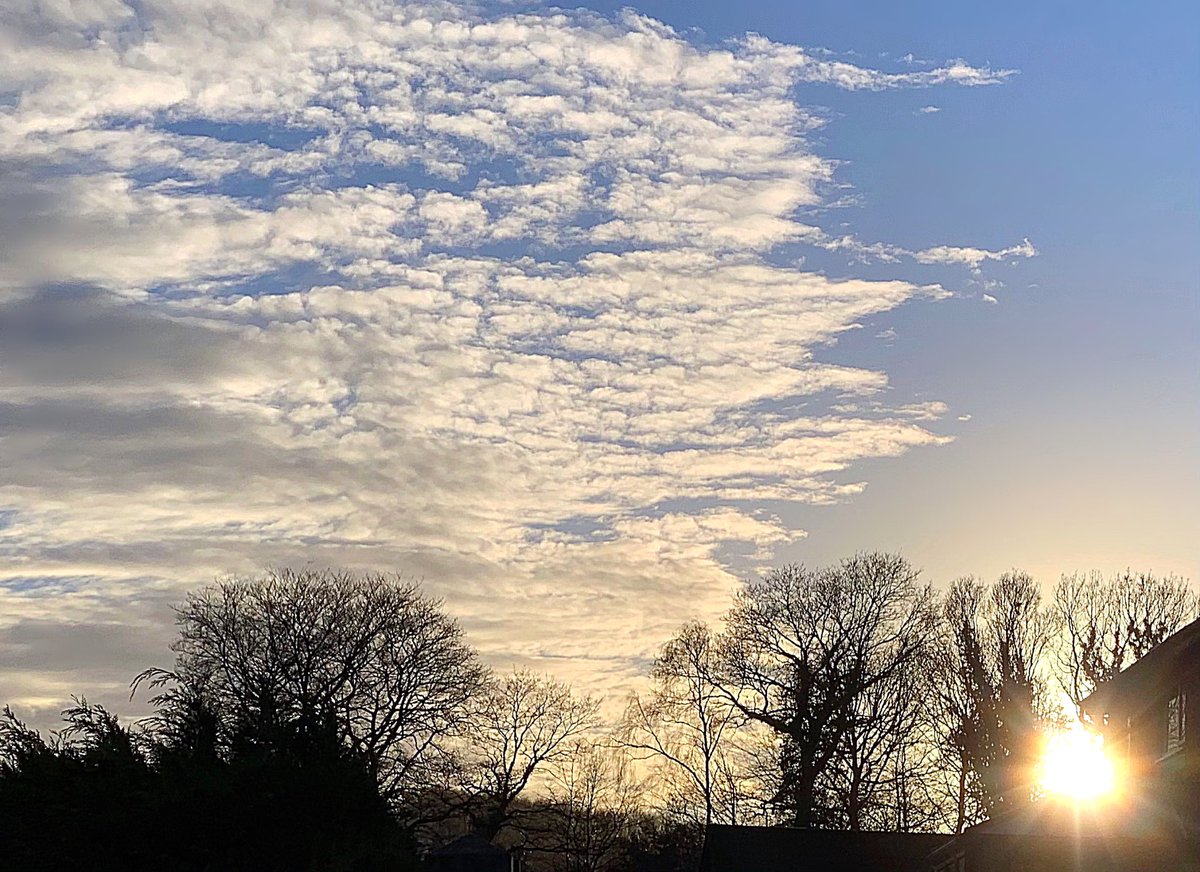 davies_parry's tweet photo. A rather #pleasant #afternoon to come home from #work to today in #Pontypridd! 🌞#ThursdayMotivation #thursdayvibes @metoffice #loveukweather✔️ @LukeMiall @ThePhotoHour @StormHour @PicPublic  @ItsYourWales @Ruth_ITV @kelseyredmore @ITVWales @ChrisPage90 @WeatherAisling @S4Ctywydd https://t.co/ngOj4fuufE