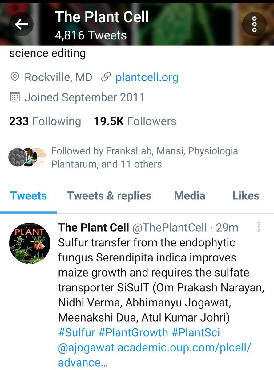 Dr. Om Narayan tweet media