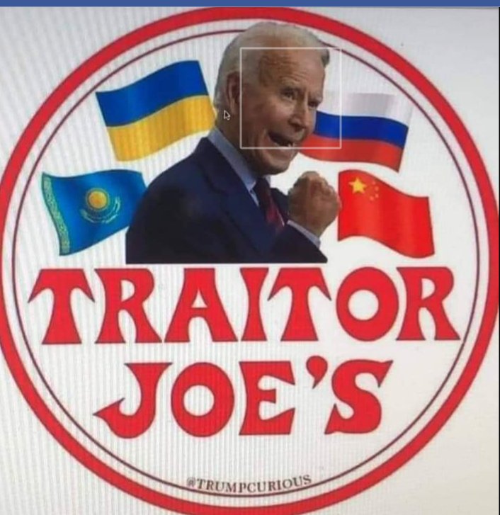 TrumpBrowardFL's tweet image. Not My President