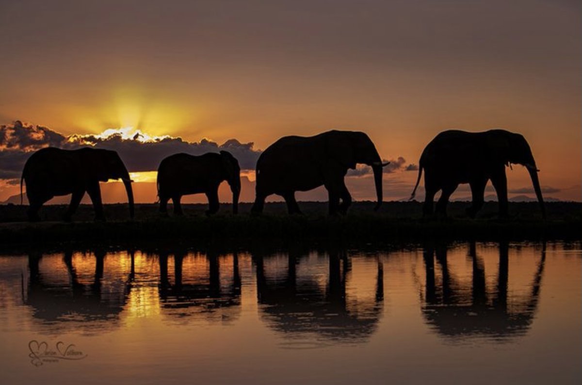 Ramblings tweet media