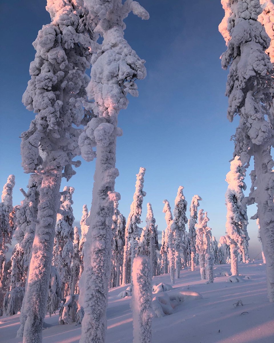 skillafi's tweet photo. Skillan konttori siirtyi vuoden alussa muutamaksi viikoksi lumisempiin maisemiin. Sen verran positiivisesti lappi ja tunturit vaikuttavat hyvinvointiin, että päätettiin jäädä tänne vielä kuukaudeksi! 💫❄️

#etätyö #joustavuus #lappi #levi #skillafi #skilla https://t.co/f5yD9TaDYz