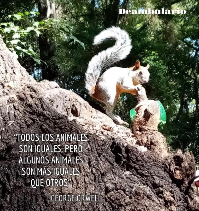 Deambulario's tweet photo. #UndíacomoHoy, pero de 1950, muere George Orwell. Uno de los grandes creadores de ciudades ficticias indeseables en obras como 1984 o Rebelión en la Granja, entre otras. #Simboletrilla https://t.co/FPc5MsjAwh
